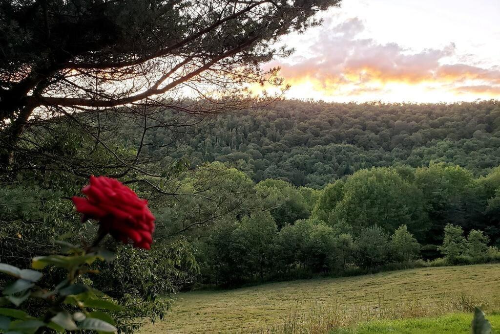 Breathtaking Views. Hot Tub. Huge Deck. Fast Wifi Andes Exterior foto